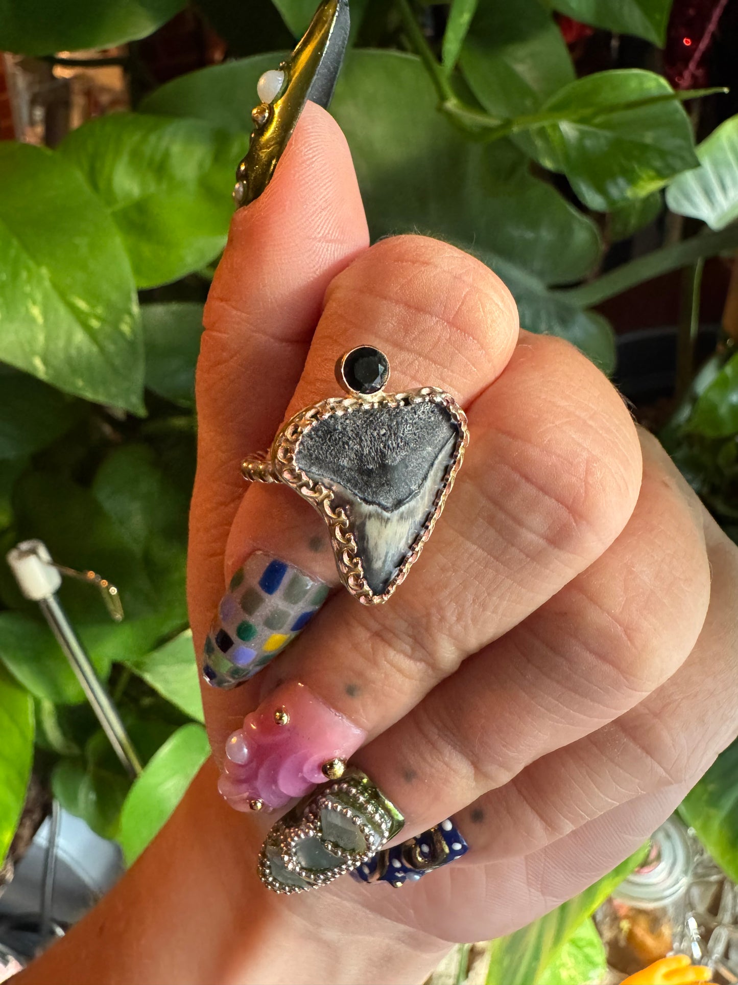 Shark Tooth & Onyx Ring