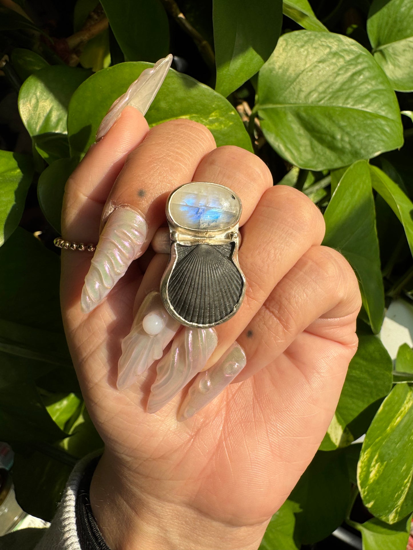 Moonstone & Seashell Ring