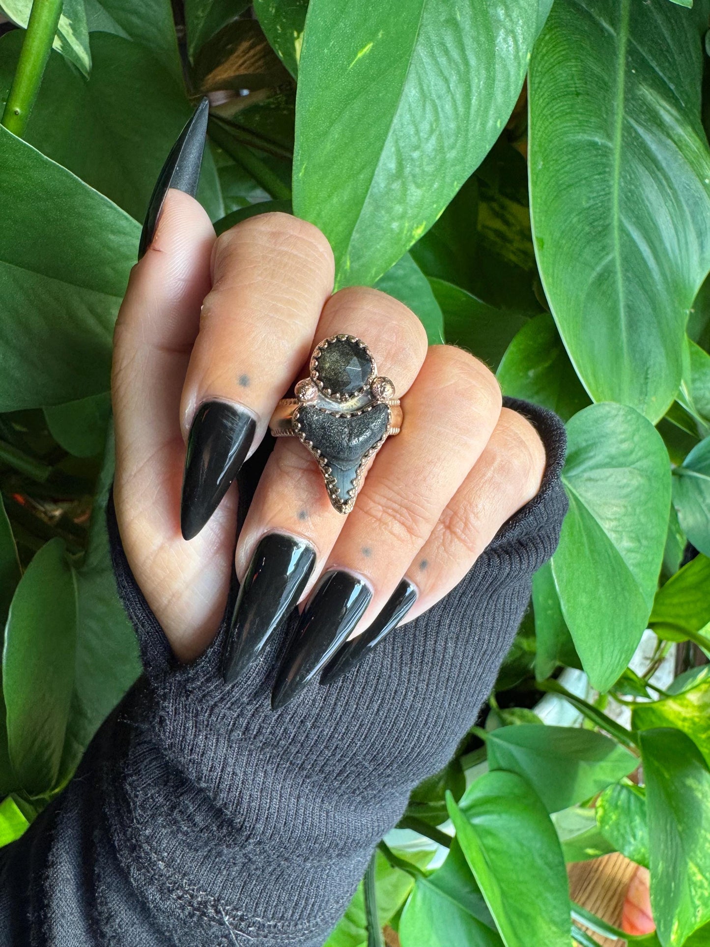 Gold sheen Obsidian & Shark Tooth Ring size 8.5-8.75