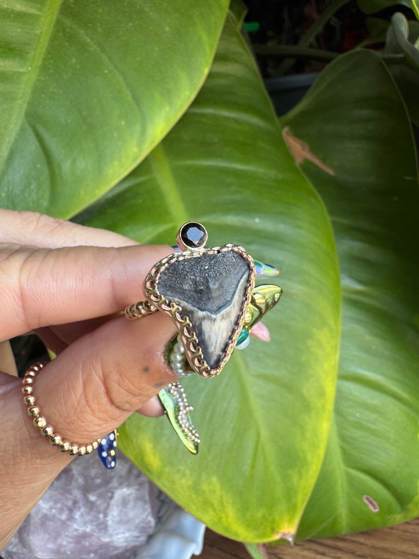 Shark Tooth & Onyx Ring