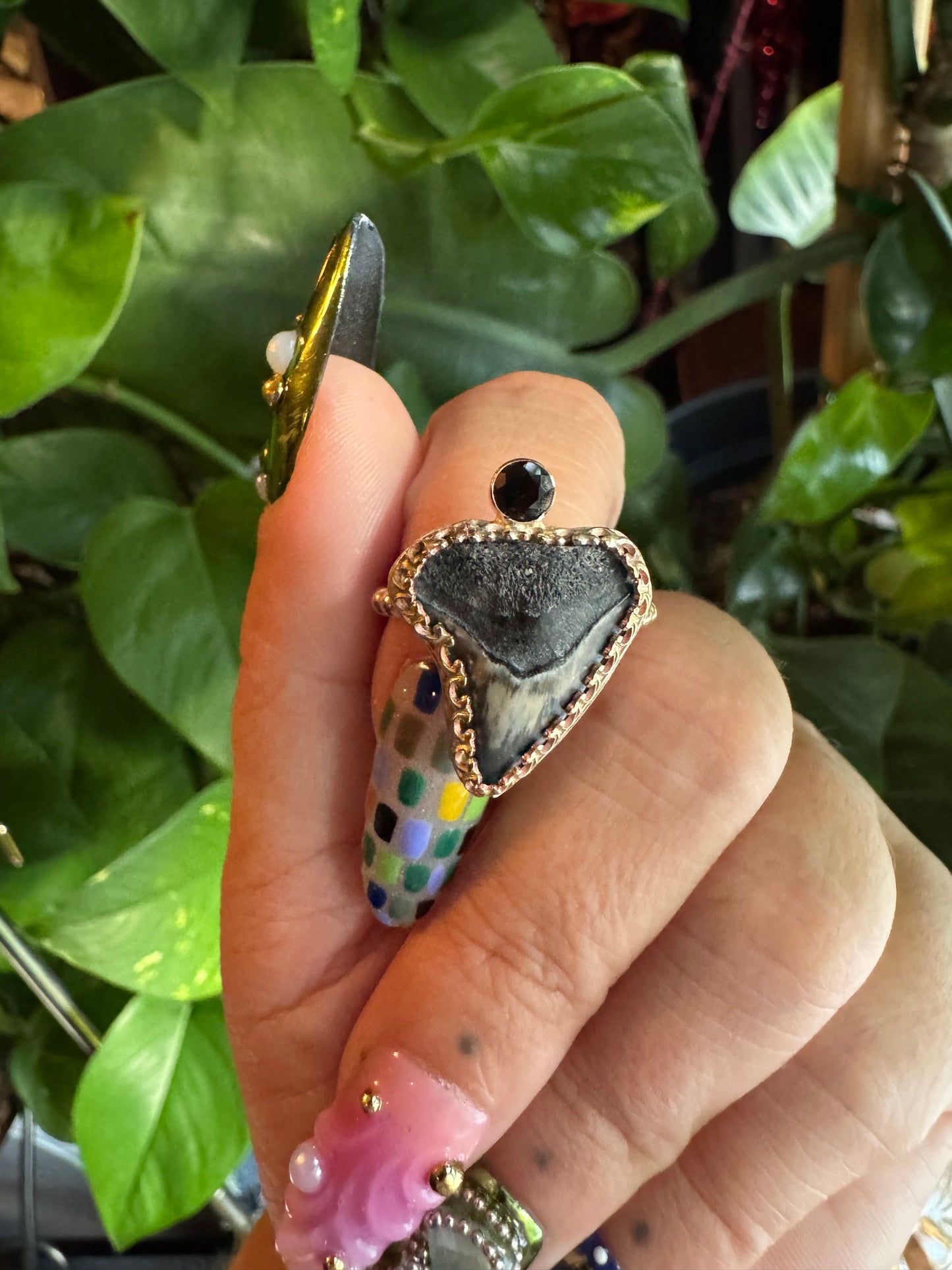 Shark Tooth & Onyx Ring