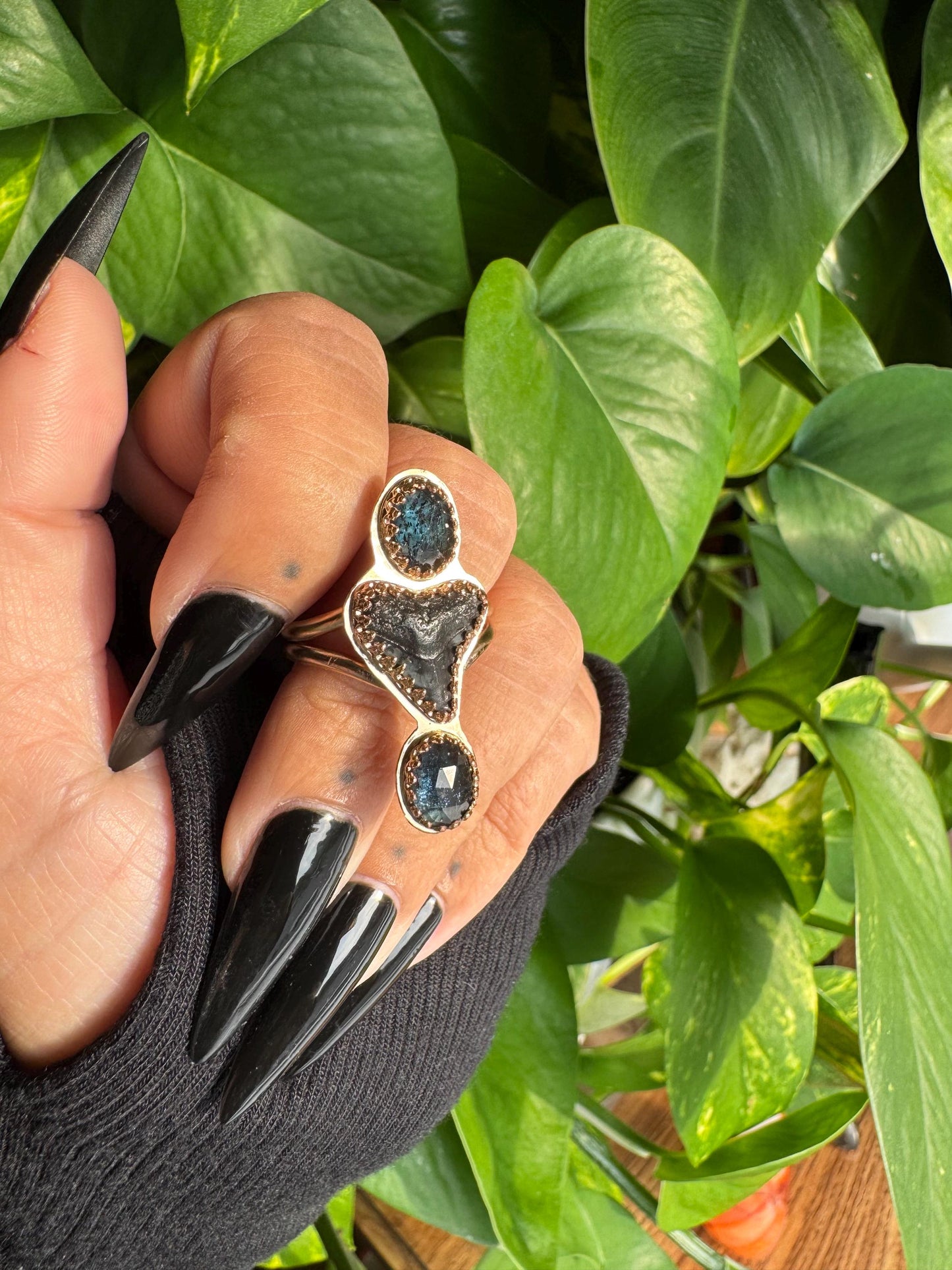 Kyanite & Shark Tooth Ring size 8