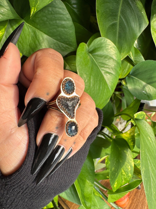 Kyanite & Shark Tooth Ring size 8