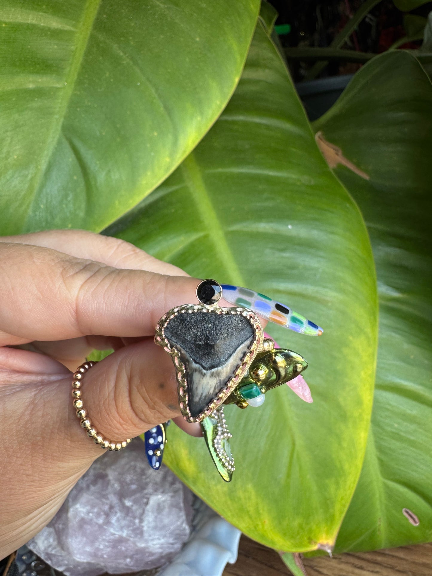 Shark Tooth & Onyx Ring