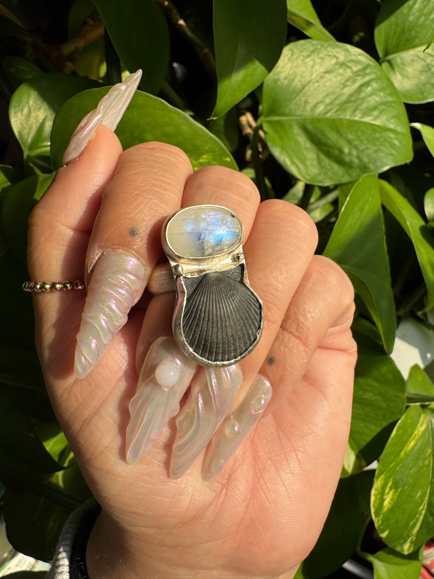 Moonstone & Seashell Ring