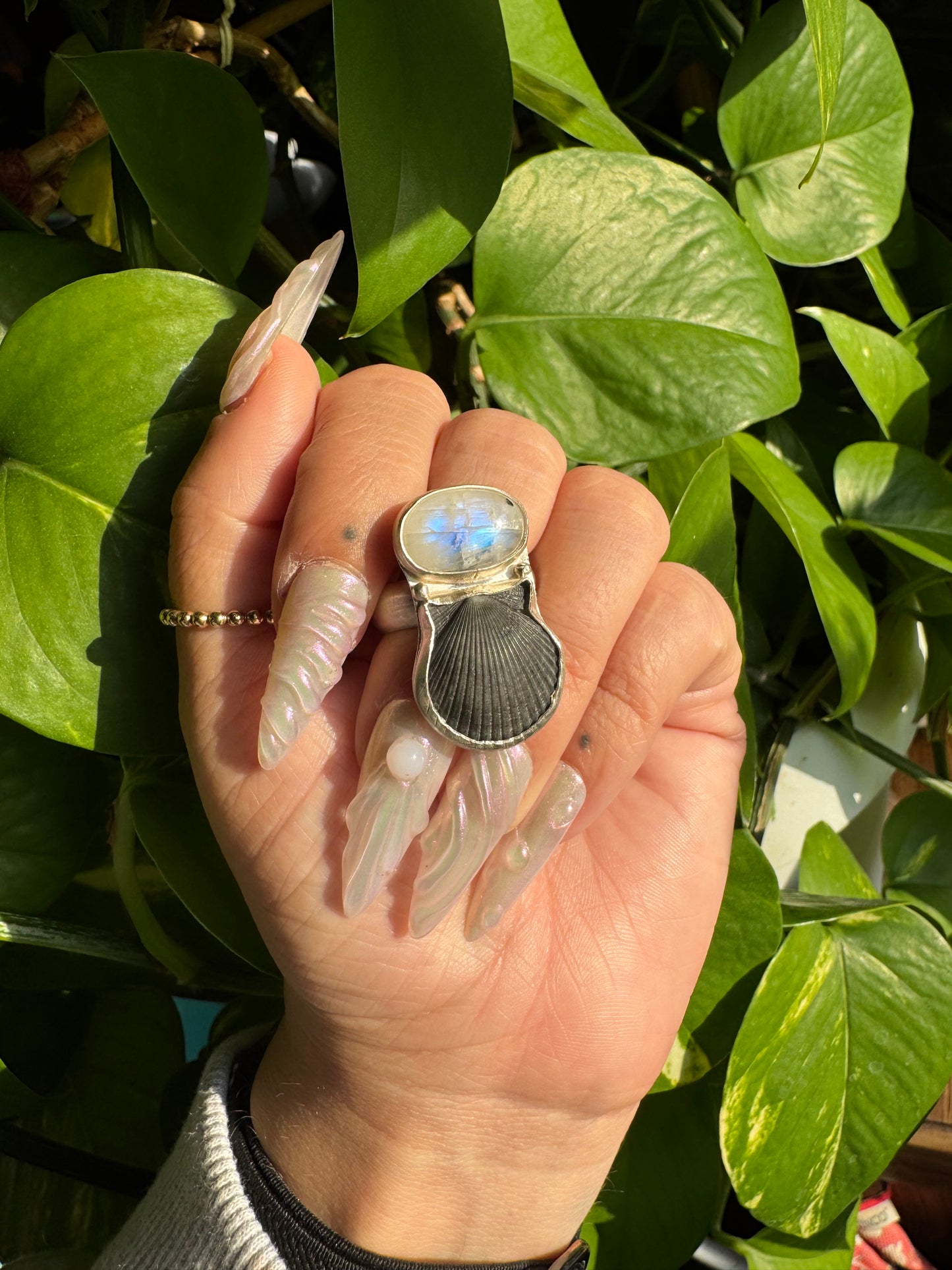 Moonstone & Seashell Ring