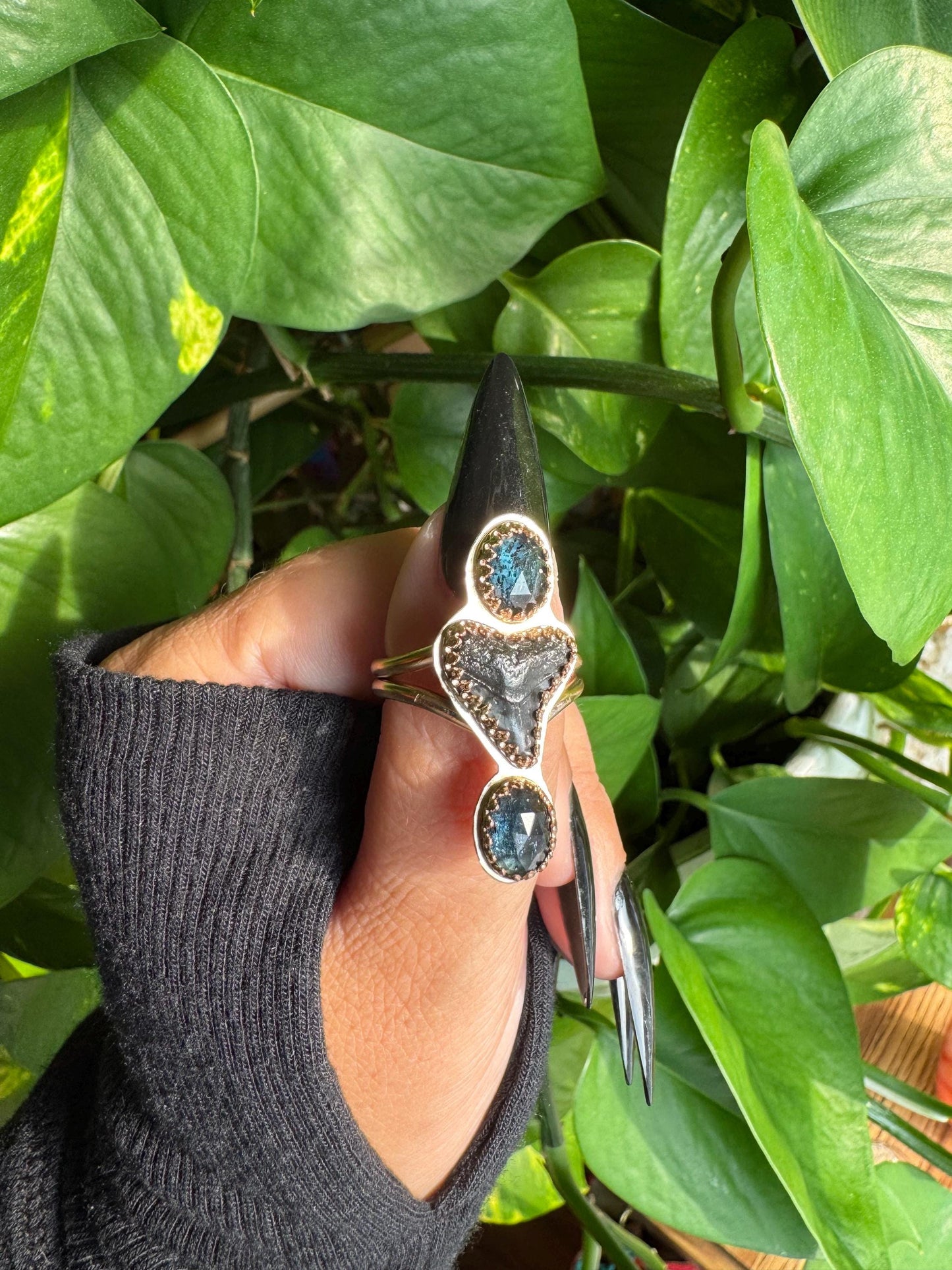 Kyanite & Shark Tooth Ring size 8