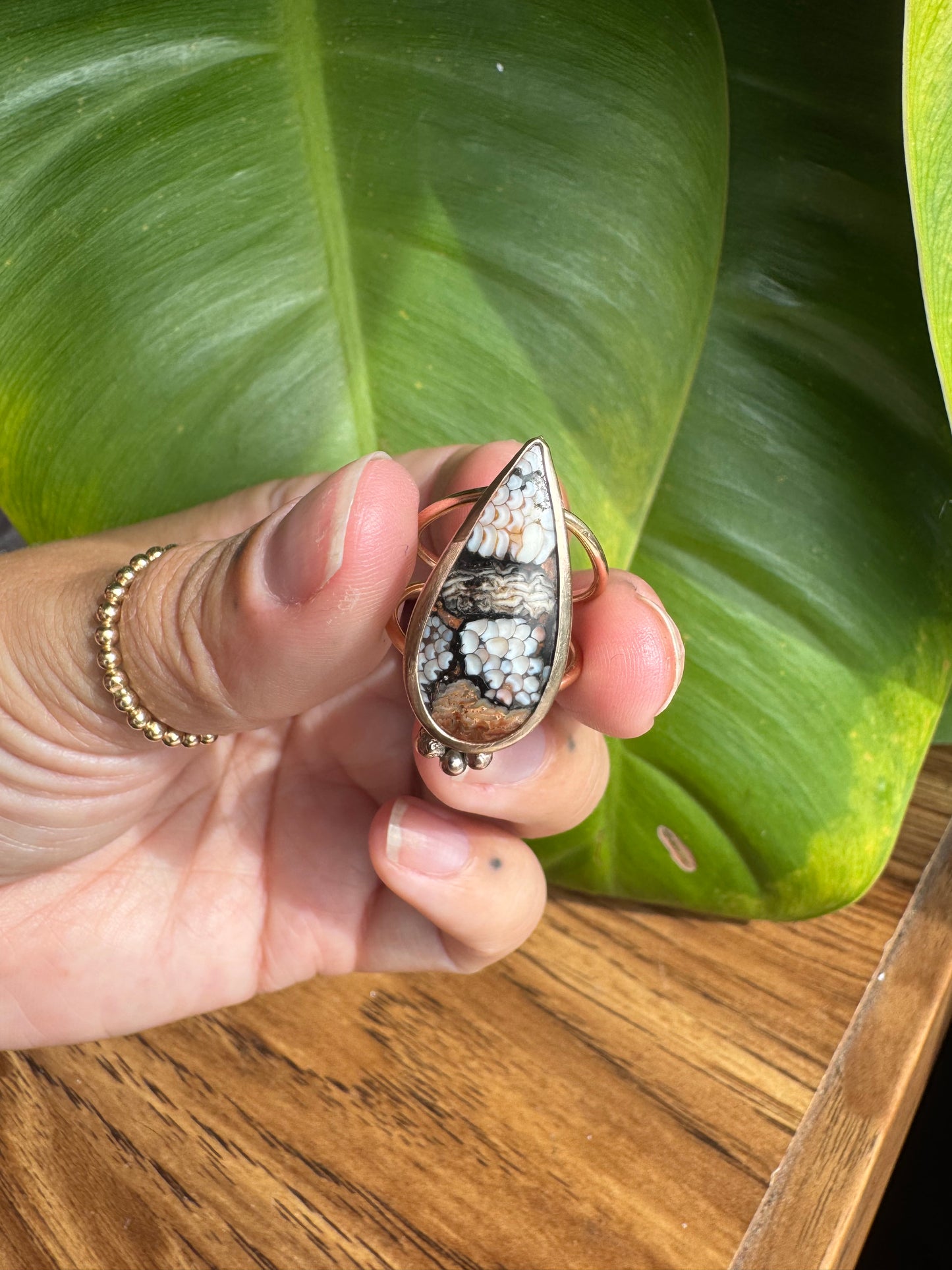 Wrasse Fossil Ring
