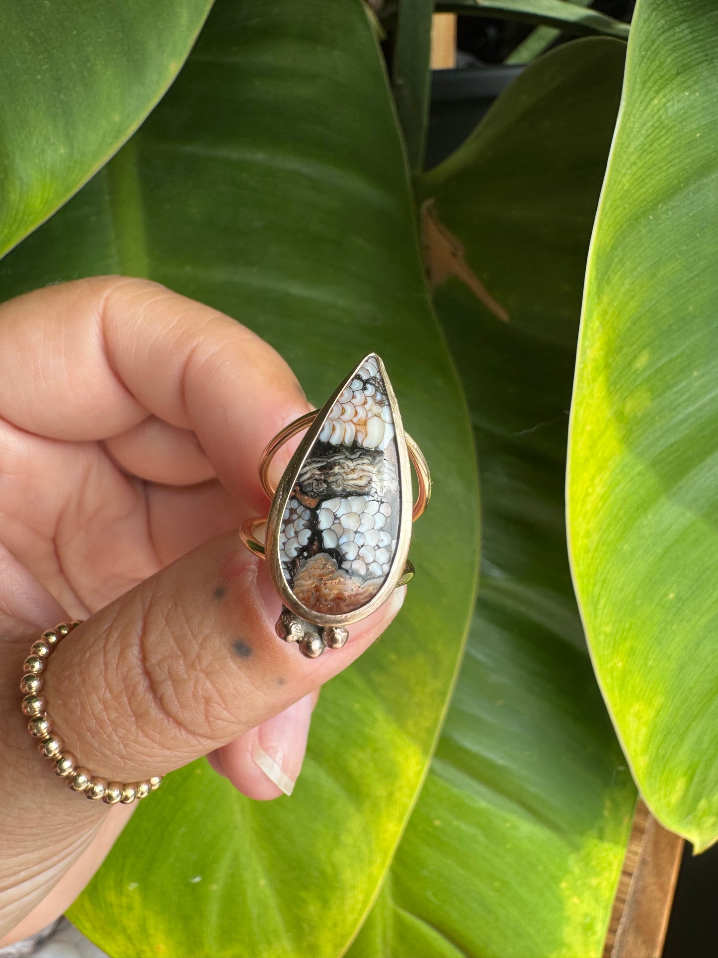 Wrasse Fossil Ring