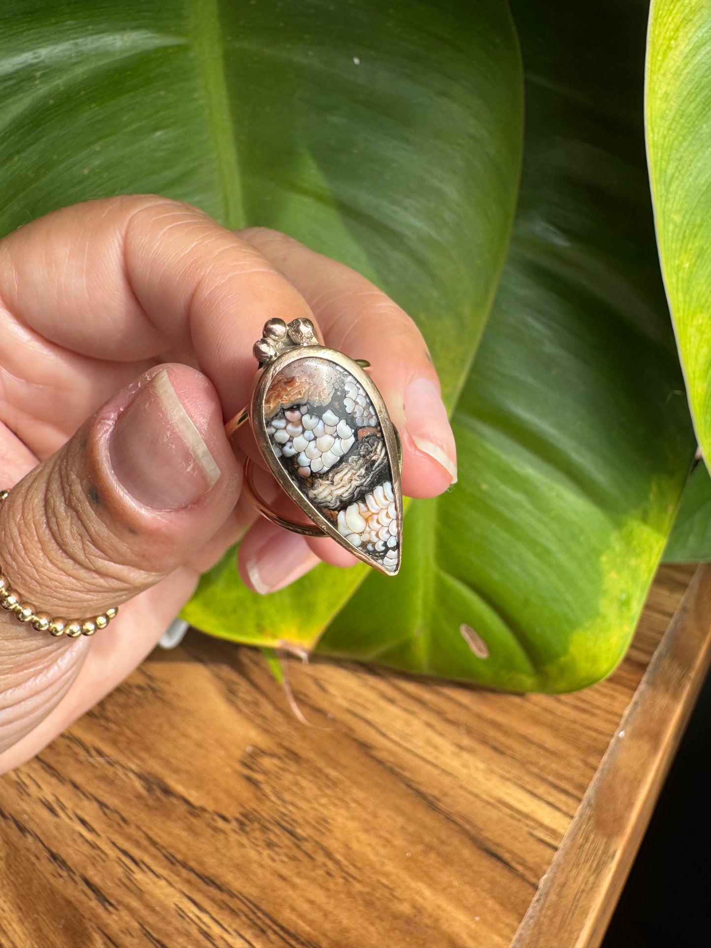 Wrasse Fossil Ring