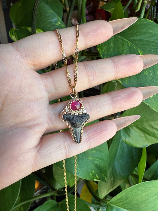 Pink Sapphire & Shark Tooth Pendant