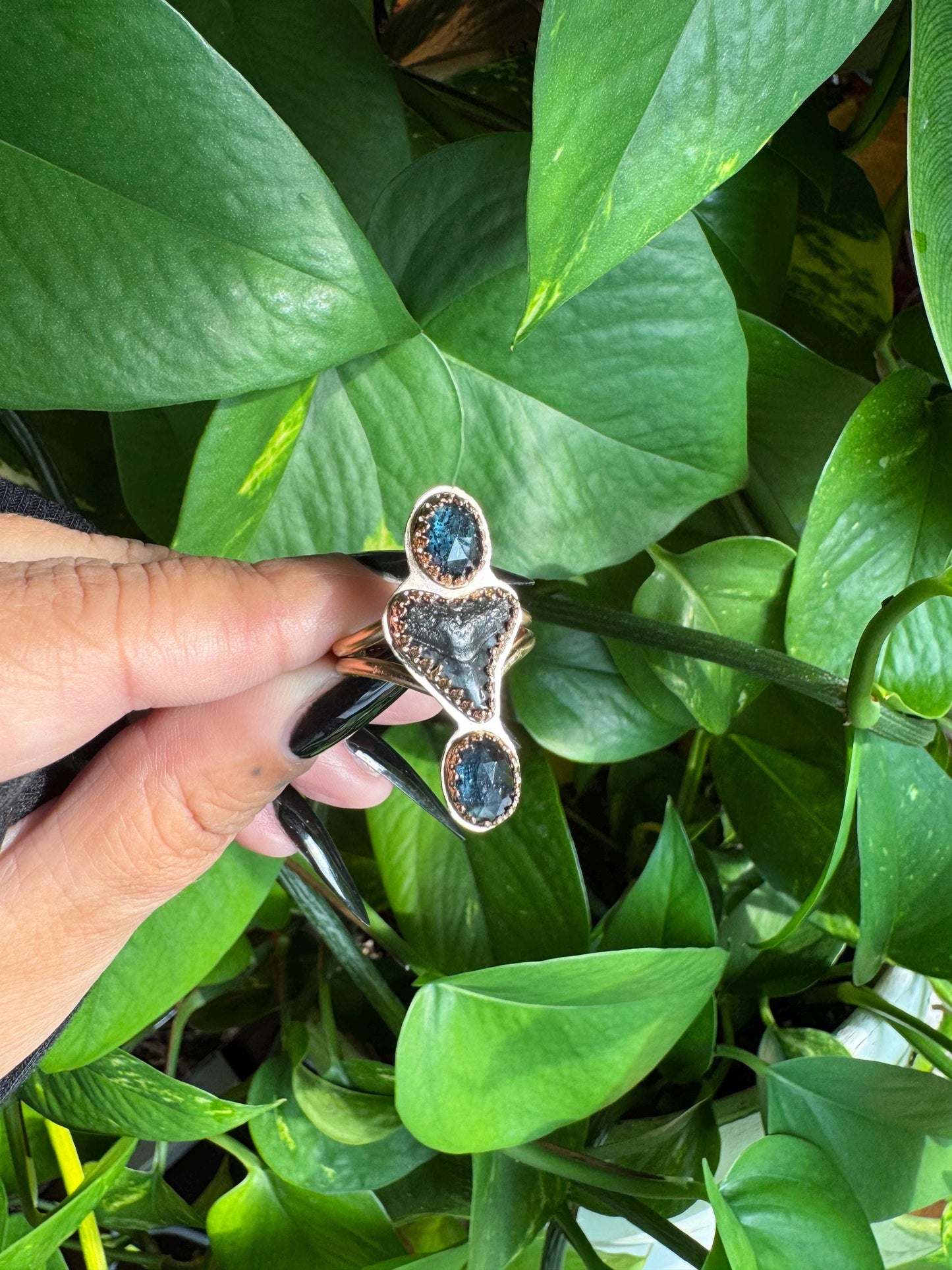 Kyanite & Shark Tooth Ring size 8