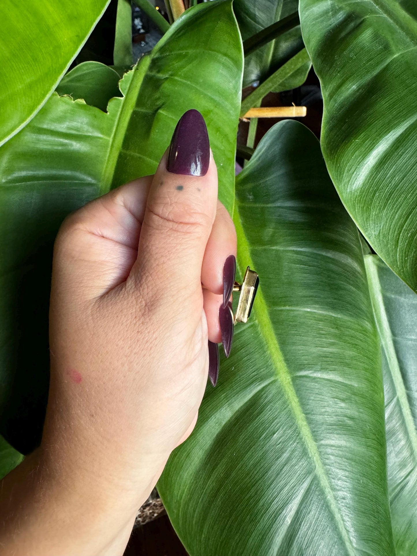 Onyx Coffin Border Ring size 8.5-9