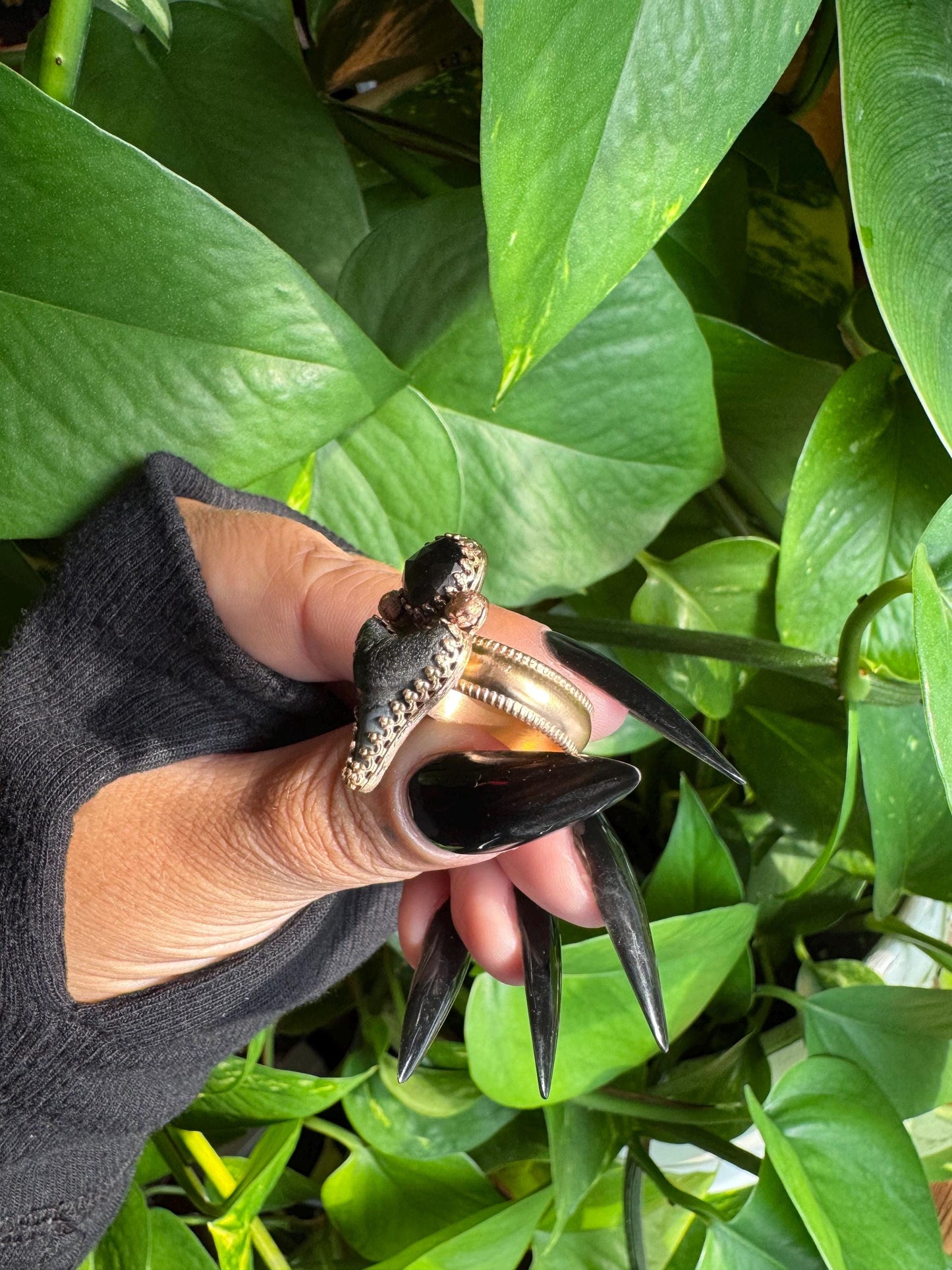 Gold sheen Obsidian & Shark Tooth Ring size 8.5-8.75