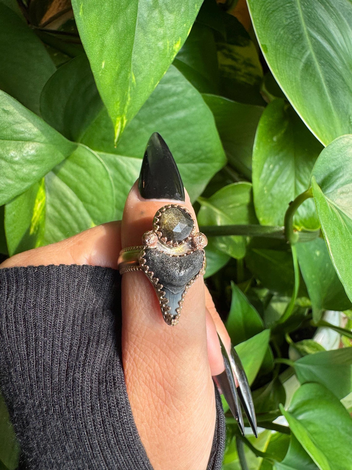 Gold sheen Obsidian & Shark Tooth Ring size 8.5-8.75