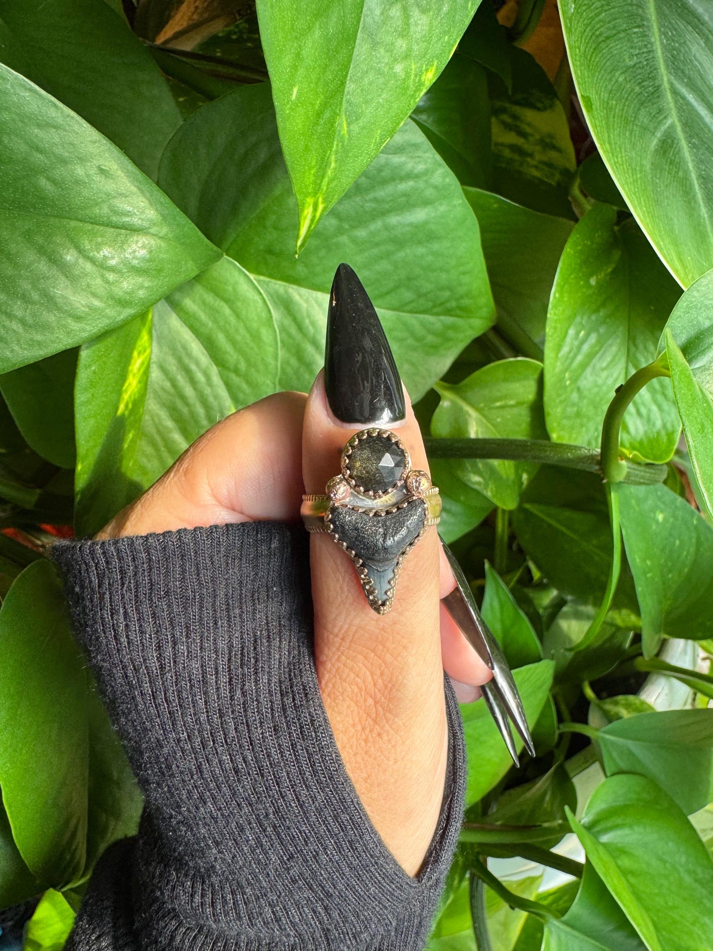 Gold sheen Obsidian & Shark Tooth Ring size 8.5-8.75