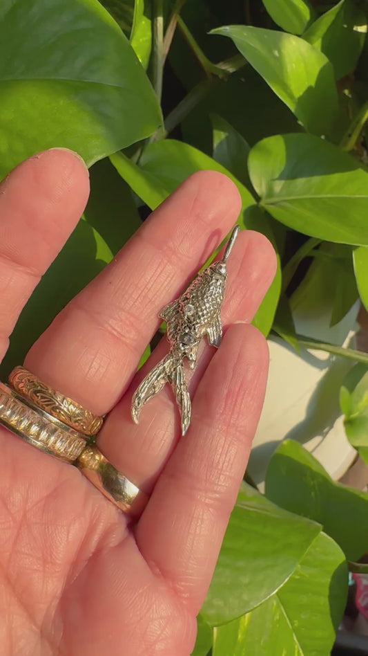 Rainbow Fish