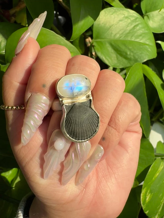 Moonstone & Seashell Ring